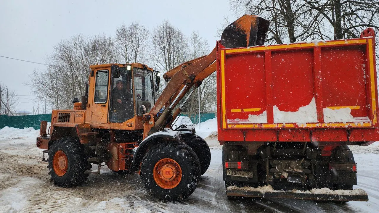МедиаБанк Подмосковья/Екатерина Данилина