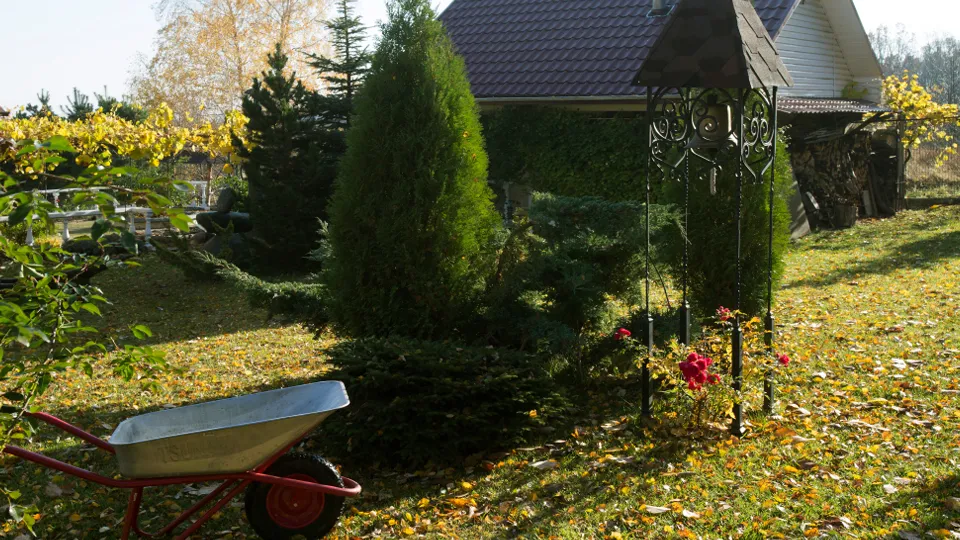 Фото: ТАСС/Николай Гынгазов