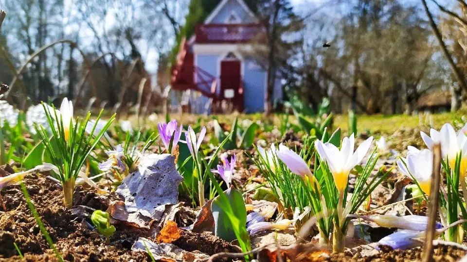 Фото: Музей А.П. Чехова «Мелихово»