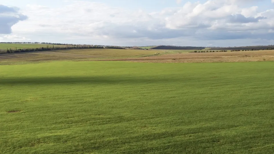 Фото: freepik.com