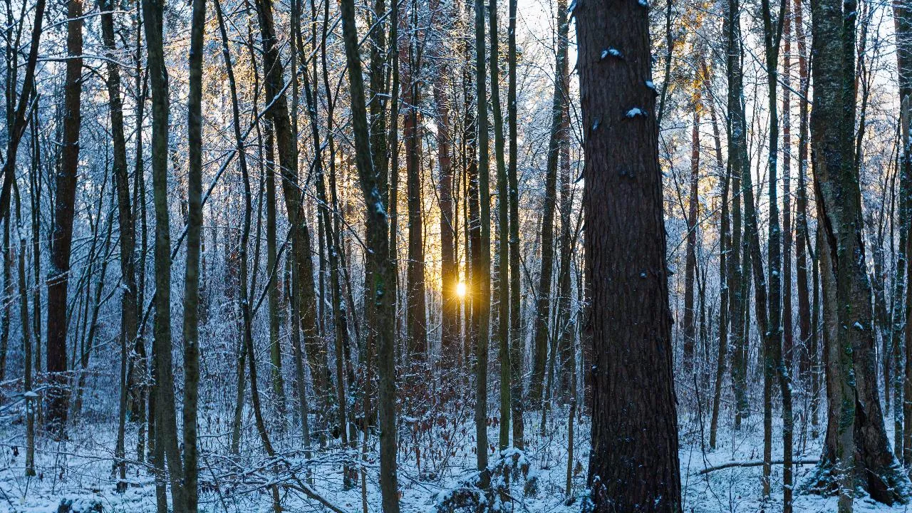 медиасток.рф