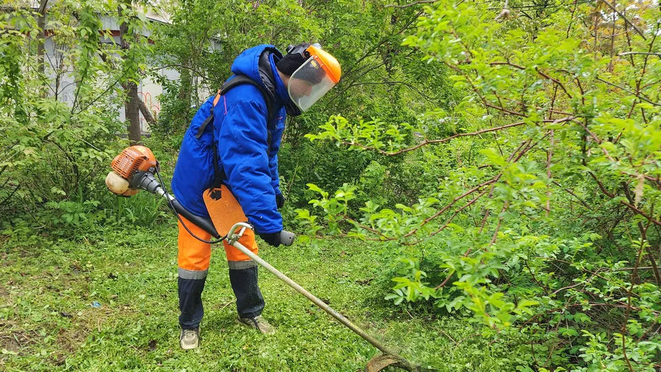 Фото: МедиаБанк Подмосковья/Наталья Дорошева