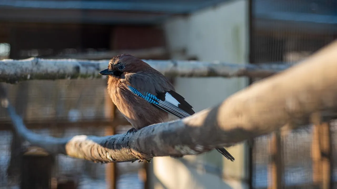медиасток.рф