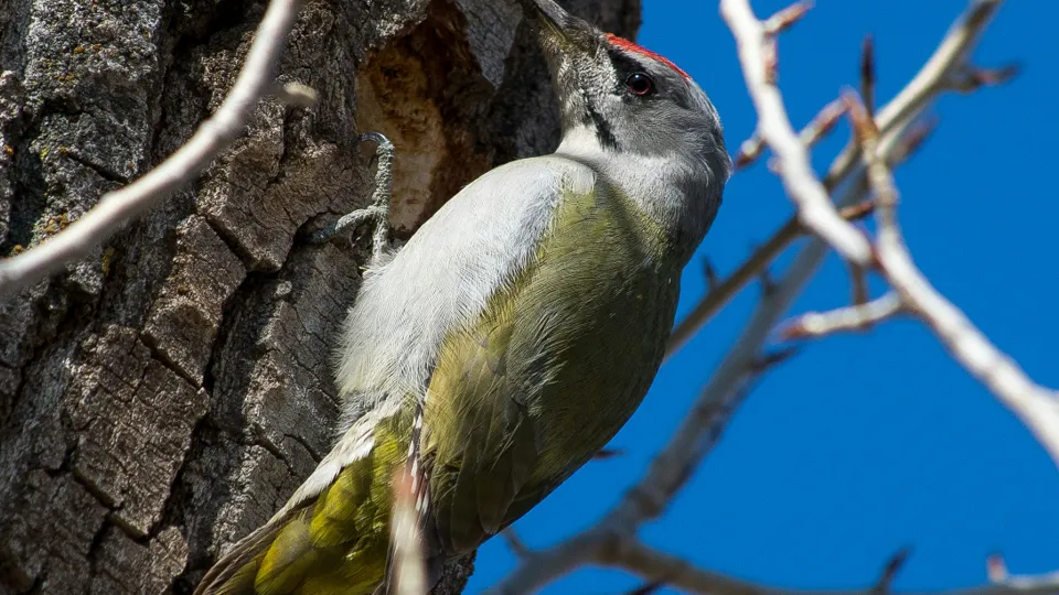 Фото: unsplash.com