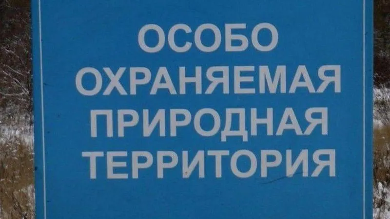 Заповедные земли в Одинцово получат региональный статус