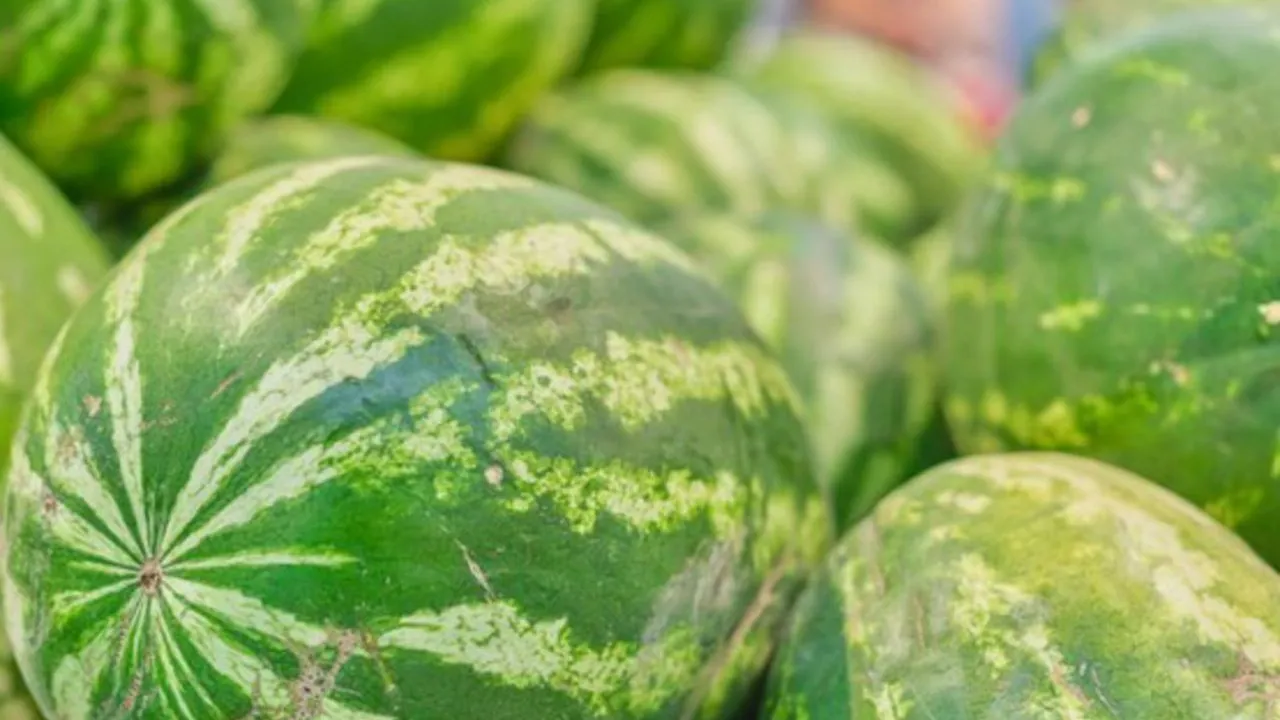 Фото: freepik.com