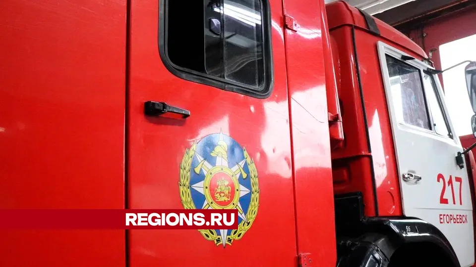 Фото: REGIONS/Василий Тремасов