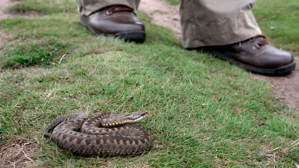 Фото: istockphoto.com