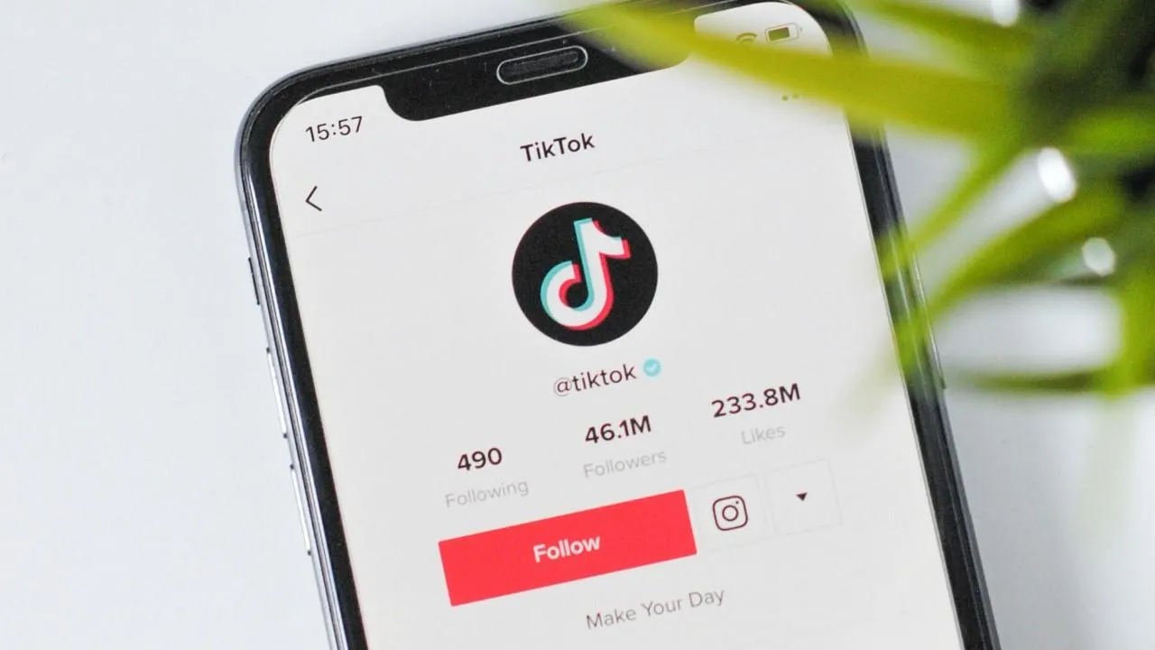 В Албании на год приостановят работу соцсети TikTok