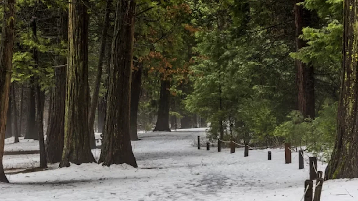 Фото: freepik.com