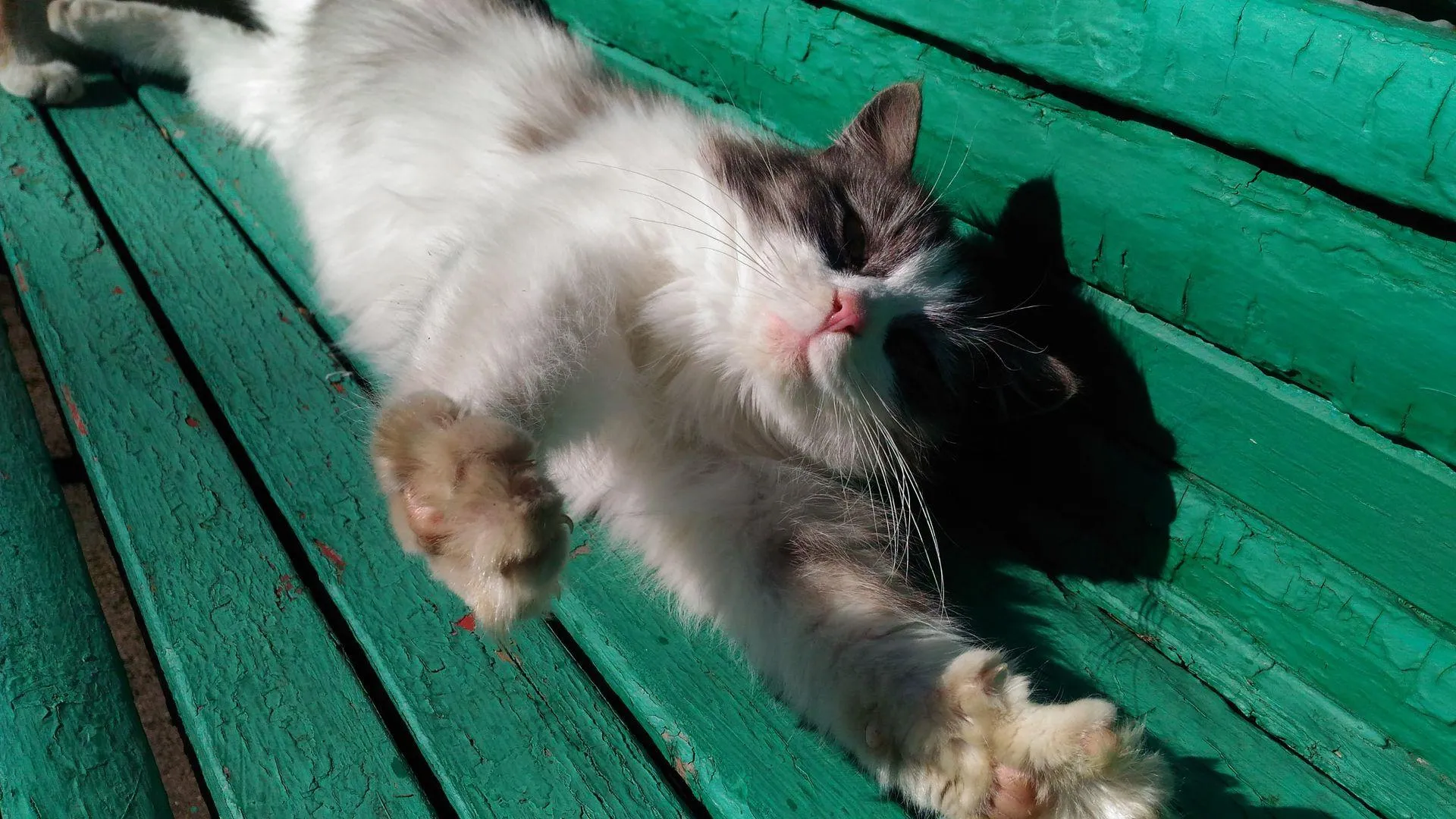 медиасток.рф