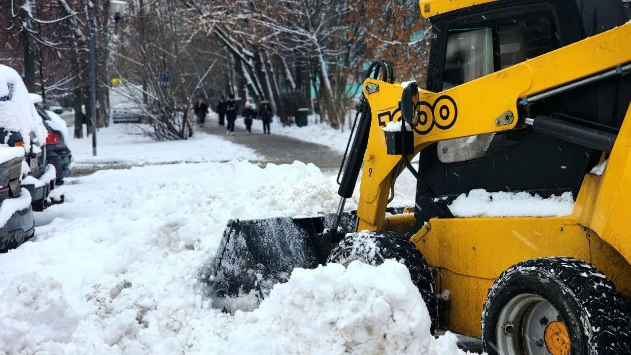 МедиаБанк Подмосковья/Мария Овчинникова