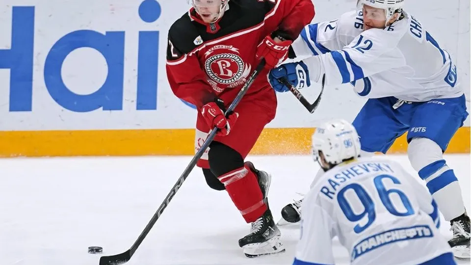 Фото: ХК «Витязь»