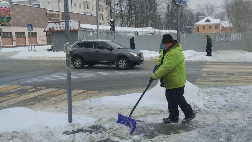 Фото: МБУ "Благоустройство и озеленение"