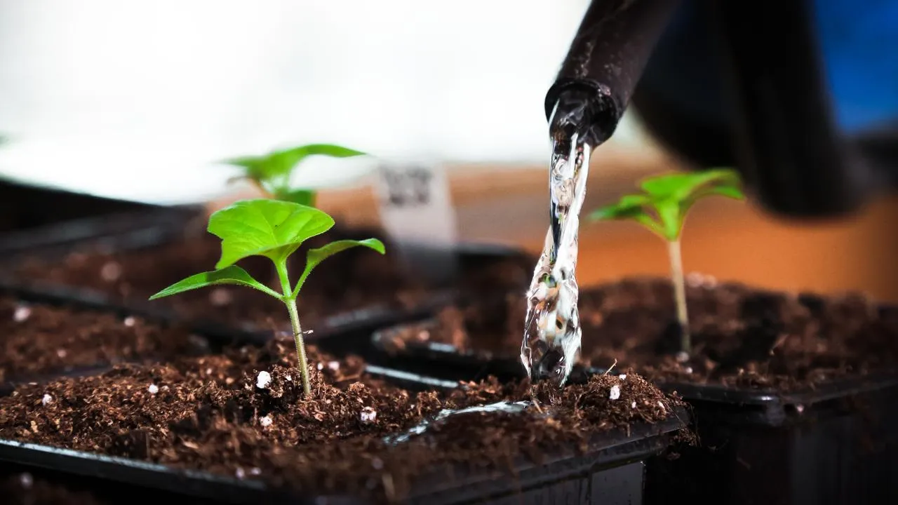 istockphoto.com/DejanKolar