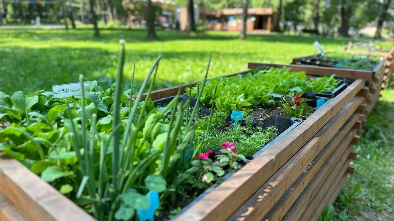 Министерство культуры и туризма МО