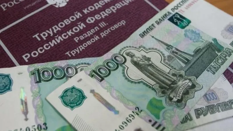 Директор компании в Пушкино год не платила сотрудникам зарплату