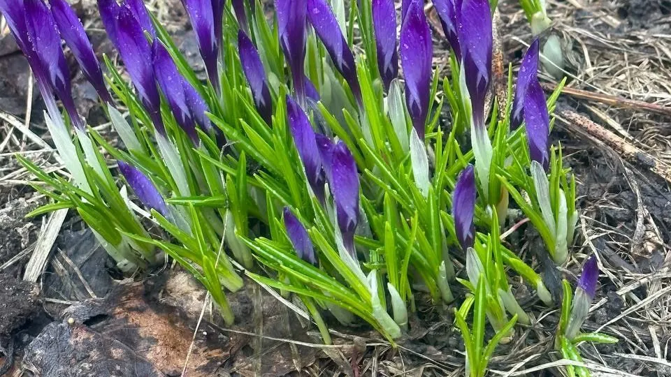 Фото: t.me/park_kz