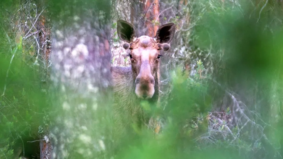Фото: РИА Новости/Илья Тимин
