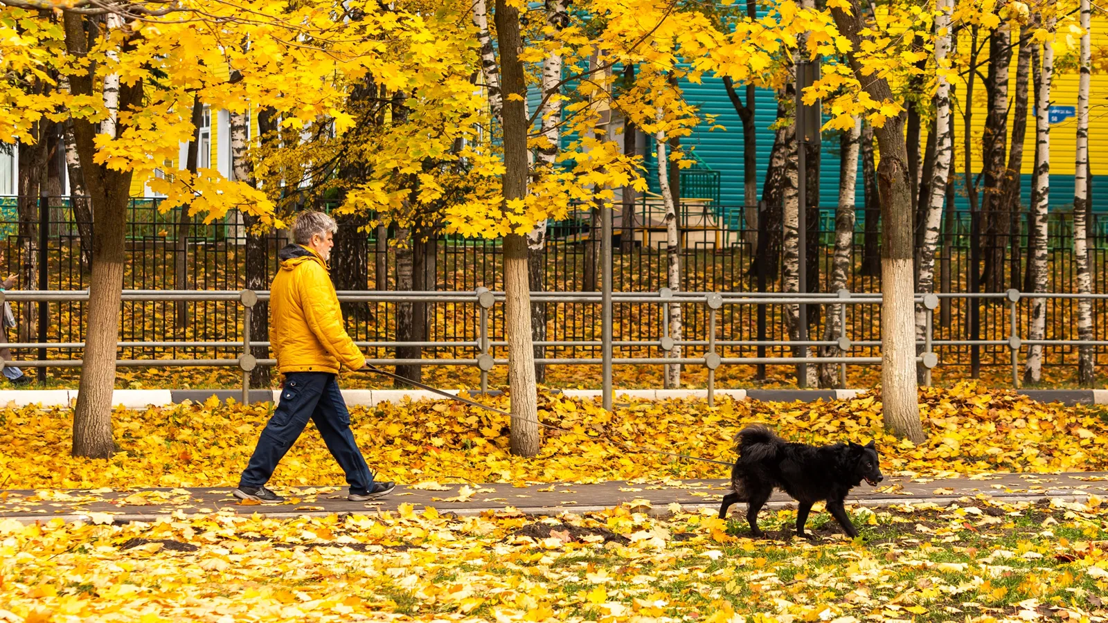 Фото: Антон Кондратюк