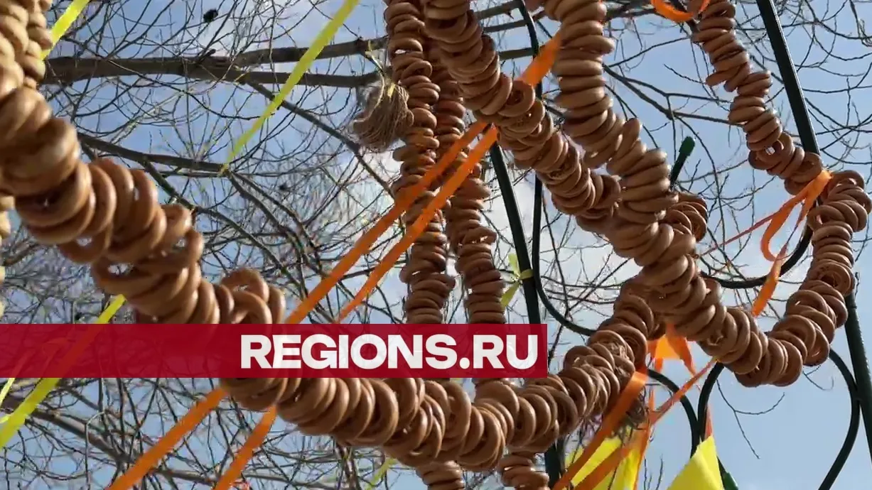 Текст, фото и видео – Ксения Казакова