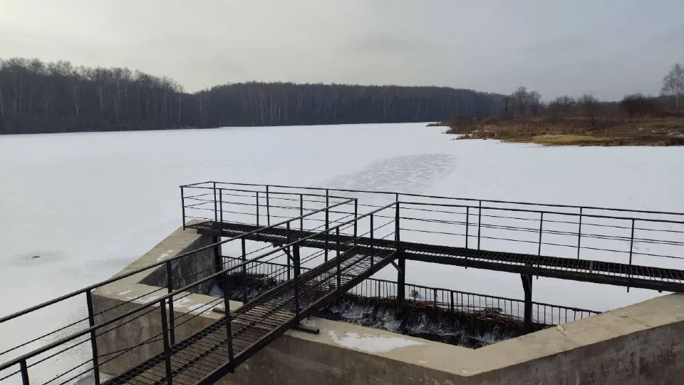 Фото: пресс-служба администрации г.о. Домодедово