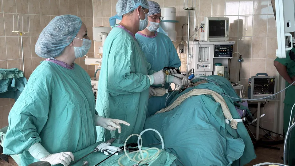 Фото: МедиаБанк Подмосковья/Анна Нестерова