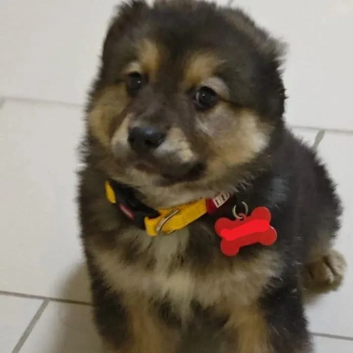 Фото: Подслушано Истра (новая) / ВКонтакте