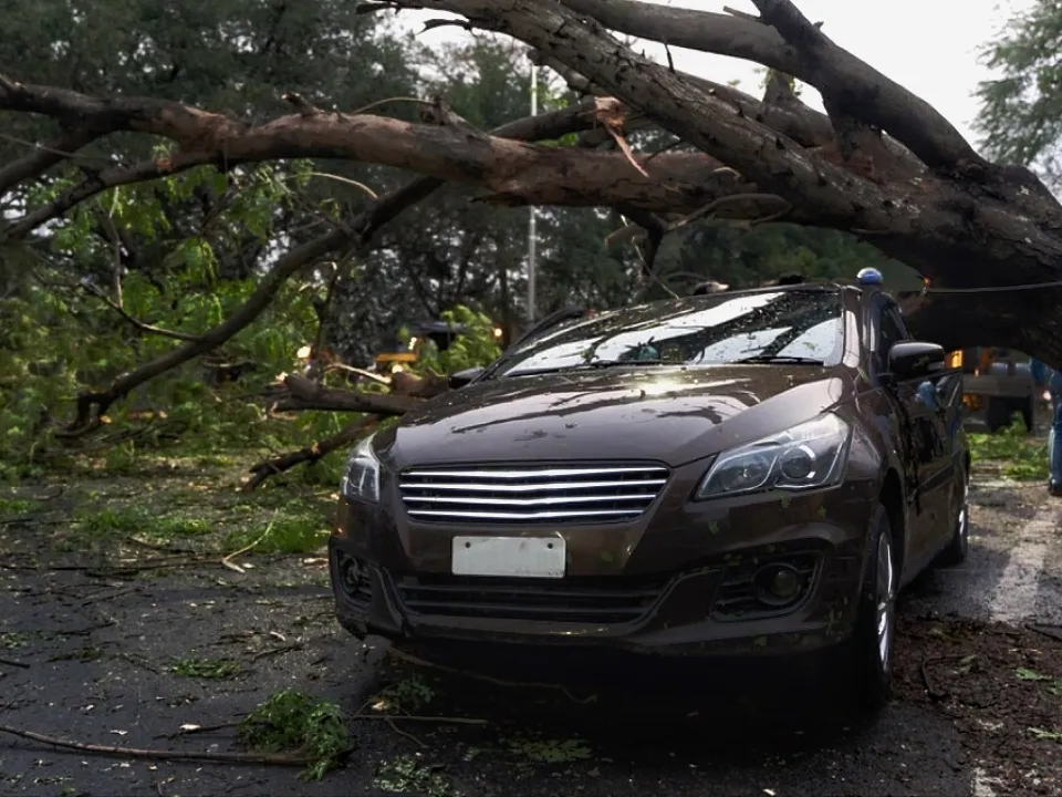 «Нужно идти в суд»: юрист рассказал, что делать водителям, чьи авто пострадали из-за непогоды