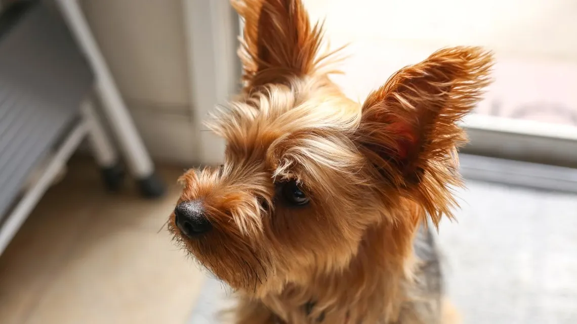 Фото: unsplash.com