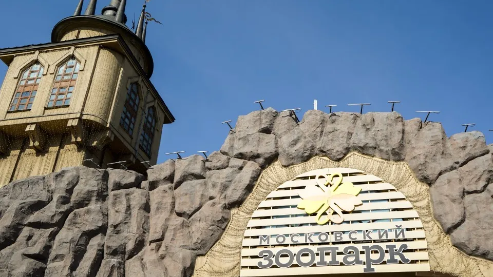 Фото: медиасток.рф