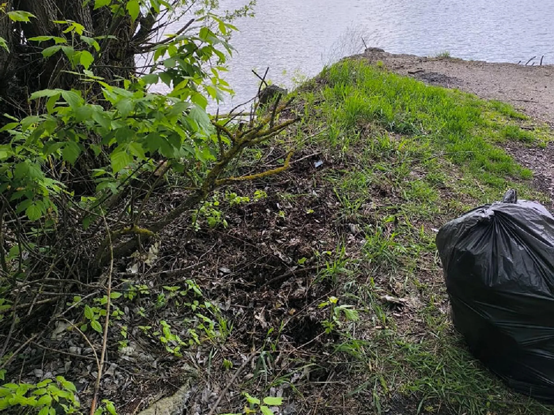 Фото: пресс-служба администрации м.о. Шатура