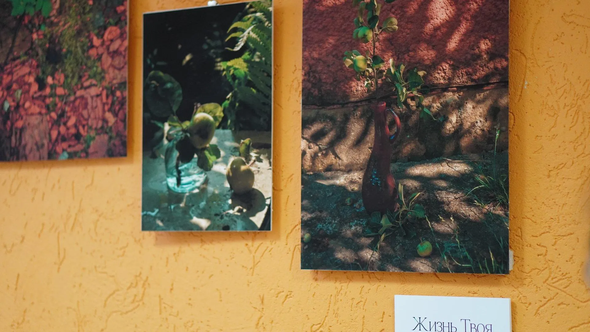 ЦКР "Вертикаль"