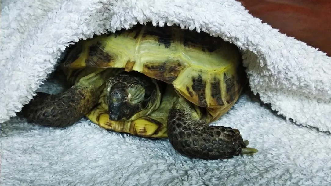 Фото: Соцсети