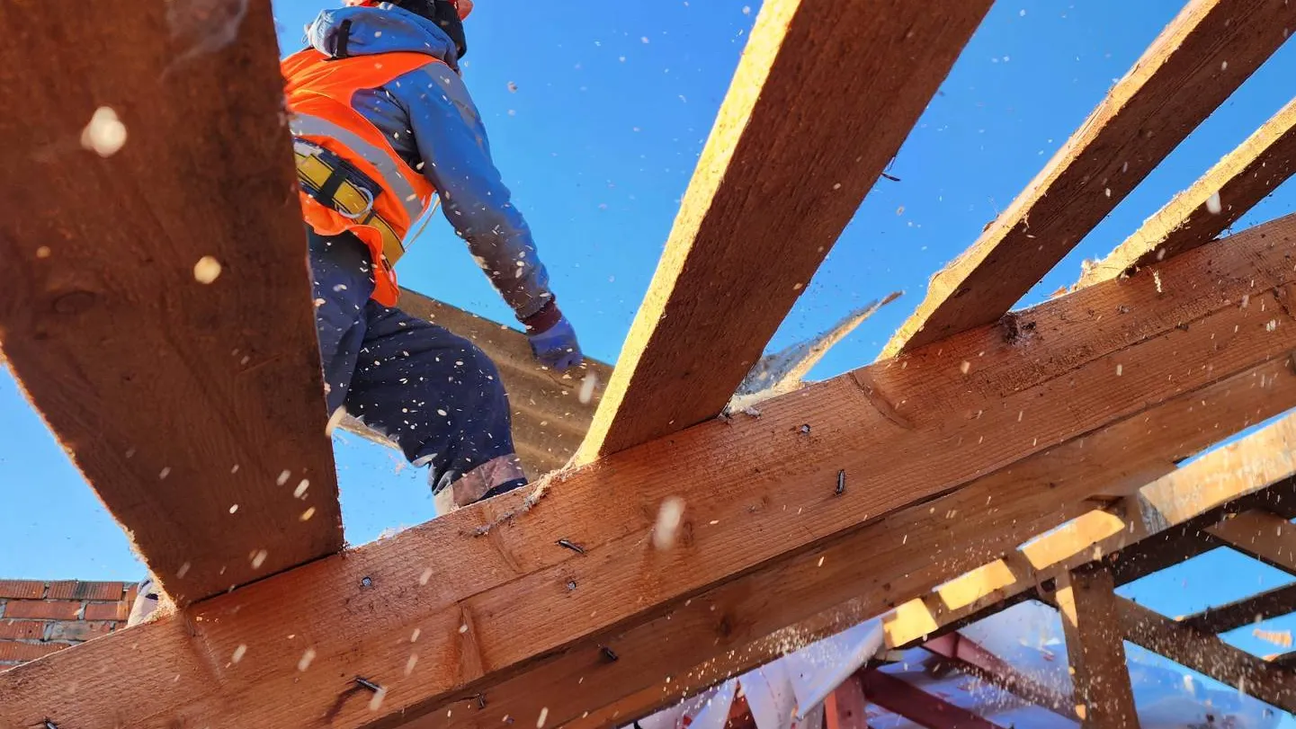 Фото: МедиаБанк Подмосковья/Андрей Алекин