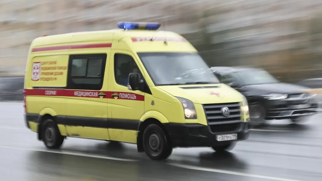 Фото: Софья Сандурская/ТАСС