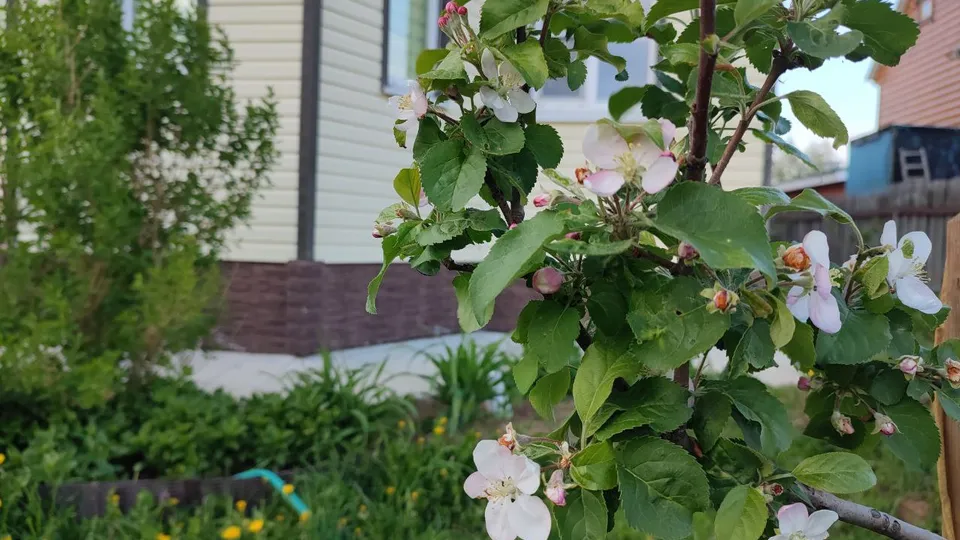 Фото: REGIONS/Елена Забелина