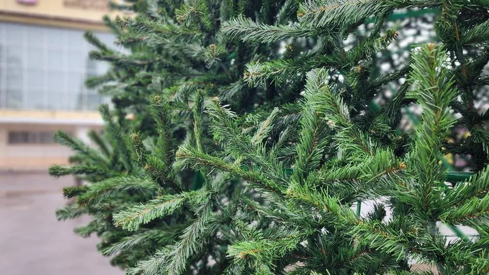 Фото: МедиаБанк Подмосковья/Анна Шолохова