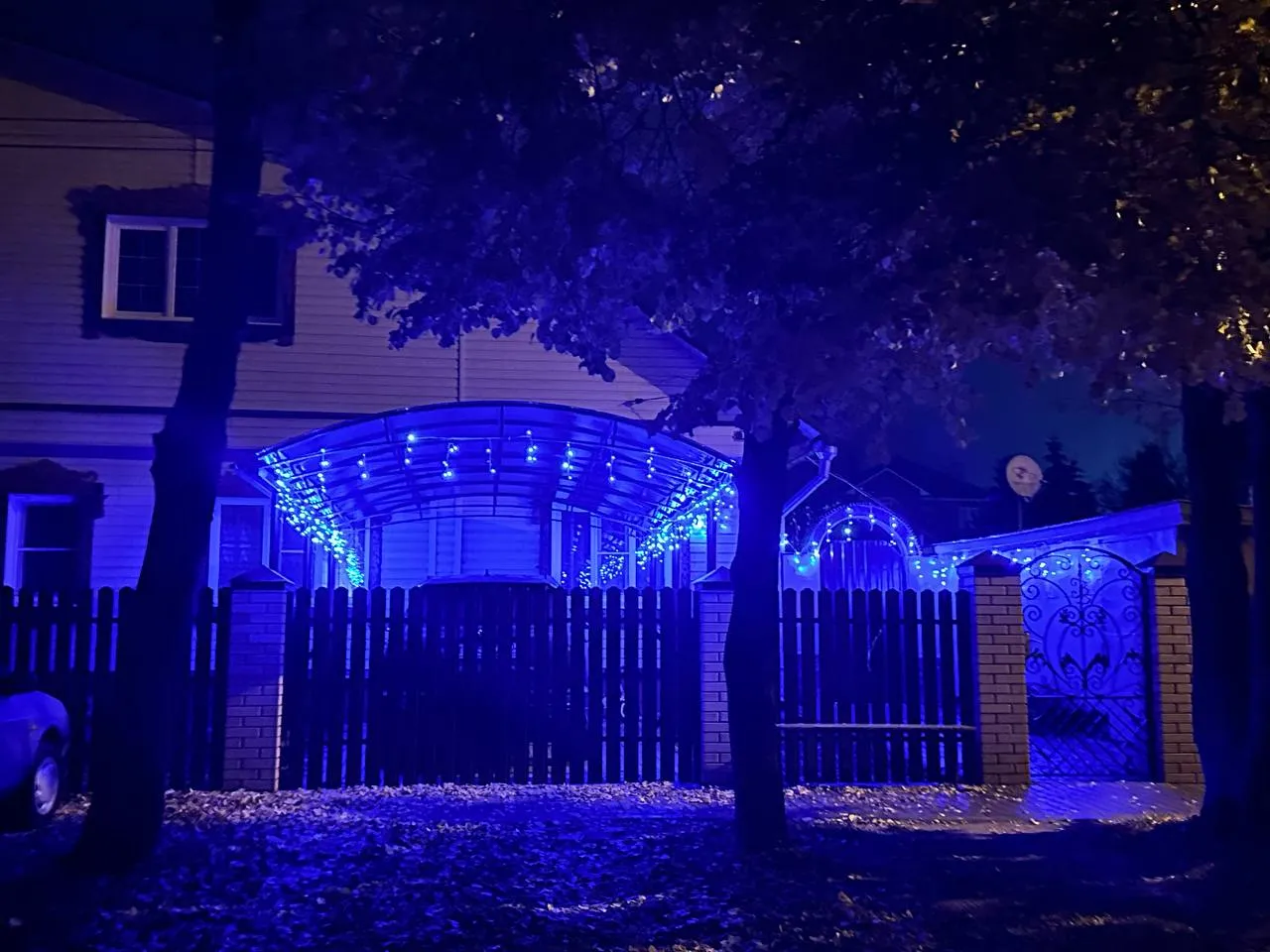 Фото: телеграм-канал «Новости Подмосковья»