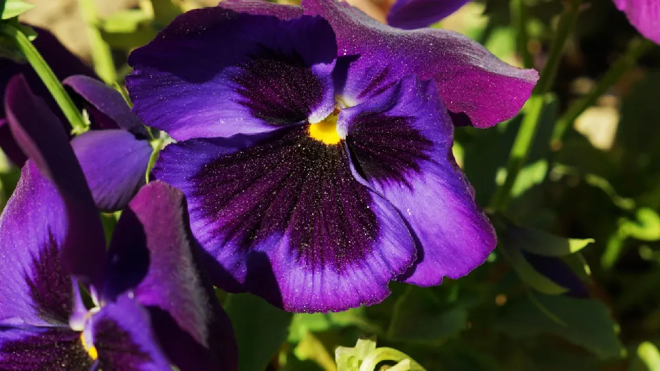 Фото: freepik.com