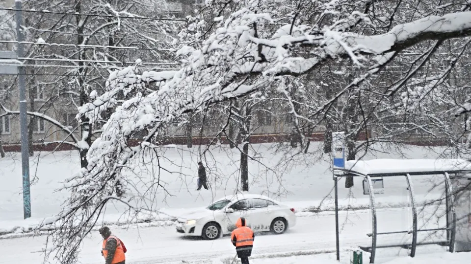 Фото: медиасток.рф