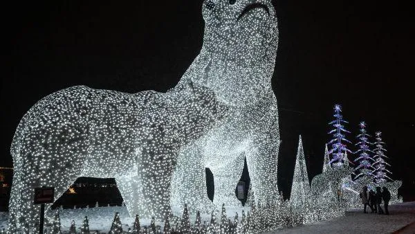 Владимир Астапкович / РИА Новости
