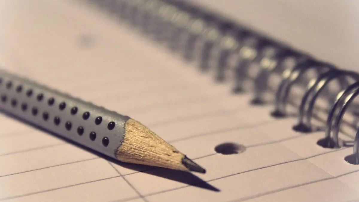 Фото: pxhere.com