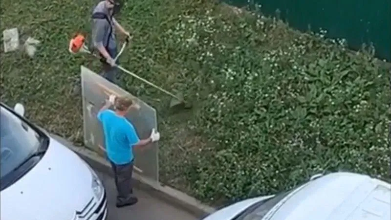 Коммунальщики заботливо покосили траву в Королеве и заслужили похвалу горожан