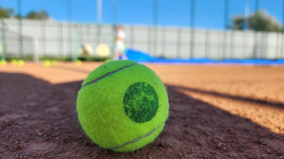 Фото: Светлана Плотникова