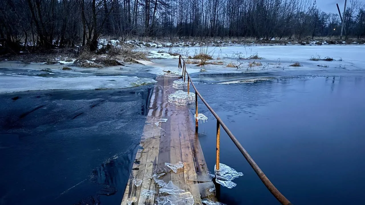 Фото: Блог Село Кривандино