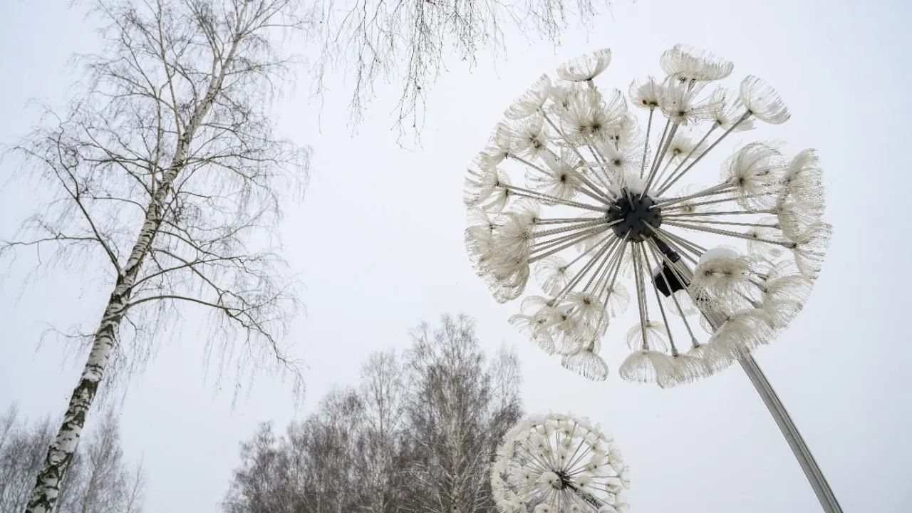 медиасток.рф