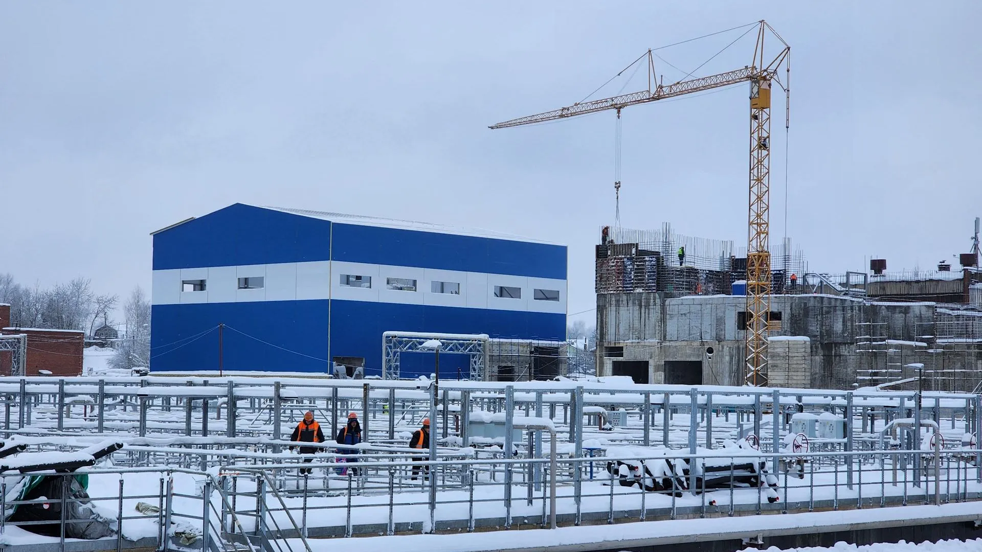 Фото: Елена Шумакова