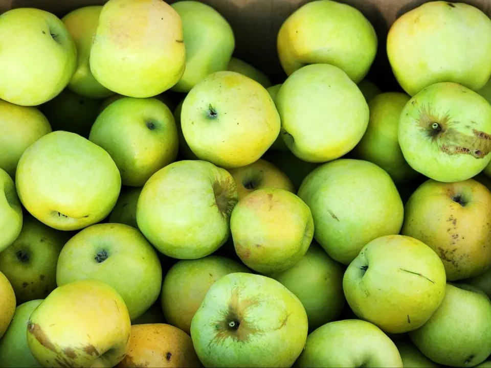 Фото: REGIONS/Анна Шолохова