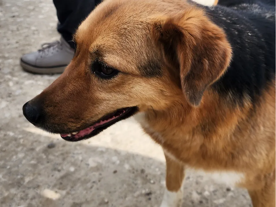 Фото: REGIONS/Наталия Надточая